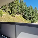 Flora - Sunflower Saint-Moritz