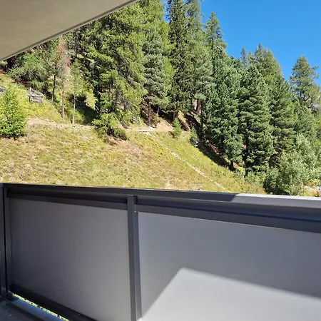 Flora - Sunflower St. Moritz