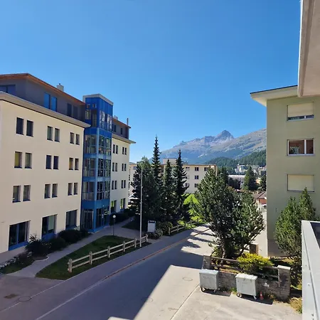 Flora - Sunflower Sankt Moritz