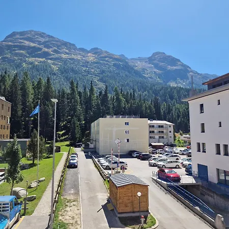 Flora - Sunflower * Saint-Moritz