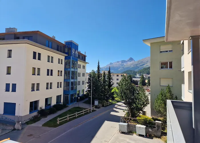 Flora - Sunflower سانت موريتز